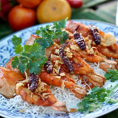 Palm Terrace